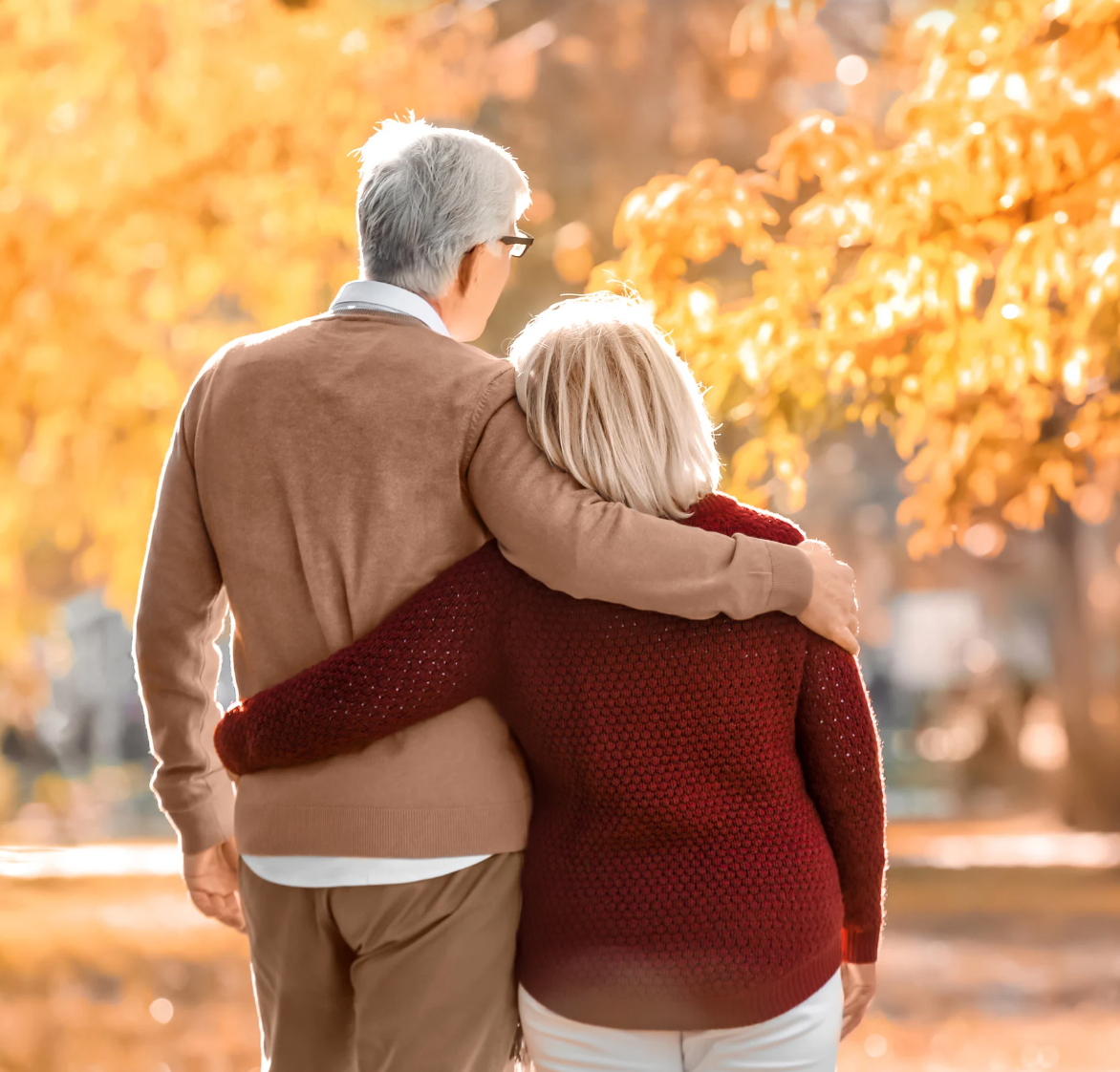 Send Your Parents to Provence