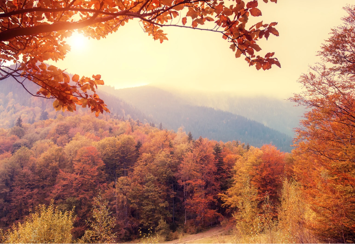 Early Autumn Booking –25%